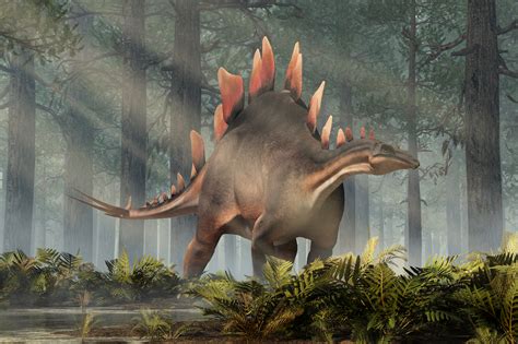 A new species of Stegosaurus has been discovered in the mountains of ...