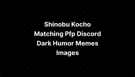 Shinobu Kocho Matching Pfp Discord Dark Humor Memes Images - IMAGESEE