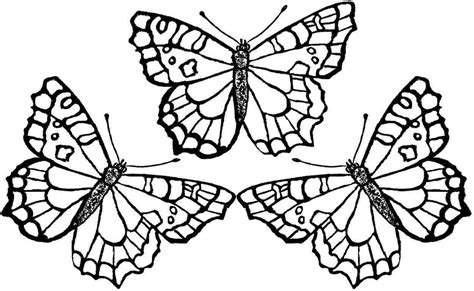 Detailed Butterfly Coloring Pages at GetColorings.com | Free printable colorings pages to print ...