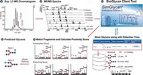 N-linked glycan analysis of Bovine Fetuin