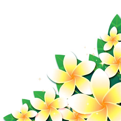 Frangipani Flower Songkran White Leaf Border, Flower, Border, Frangipani PNG Transparent Clipart ...