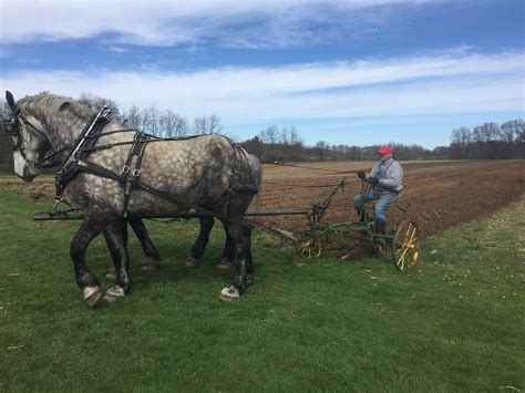 Plow Days Cornwell's Turkeyville