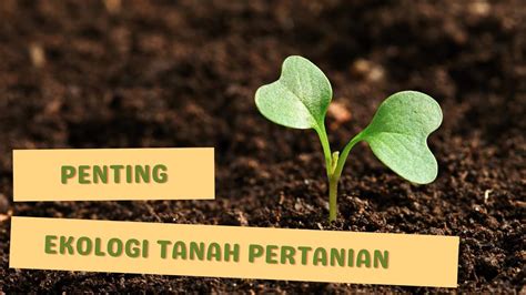 Menjaga Keseimbangan Ekosistem: Keunggulan Ekologi Sistem Pertanian Terpadu - Panda