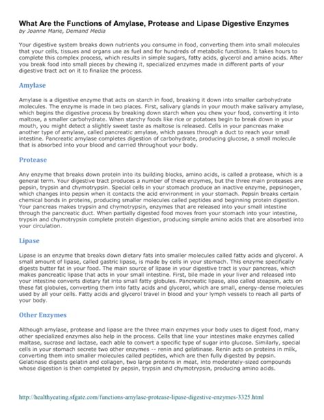 What Are the Functions of Amylase, Protease and Lipase Digestive