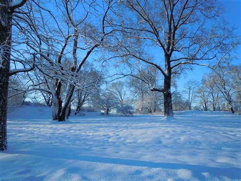 A Snowy Tundra In Central Park by Brooklyn47 on DeviantArt