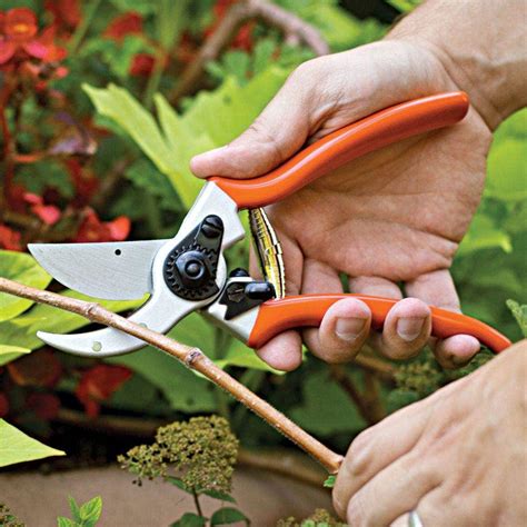 Gardening Tools | Professional-Grade Tools for Your Garden