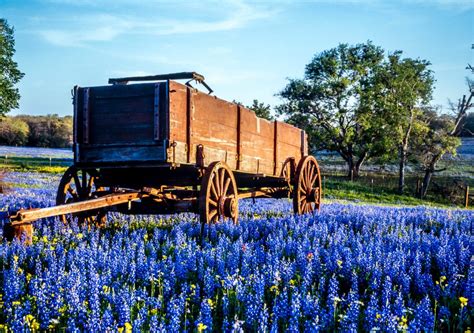 14 Beautiful Places to See Bluebonnets in Texas - Texas Travel 365