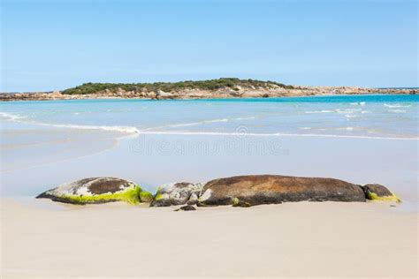 Madfish Bay Western Australia Stock Photo - Image of coastline, holidays: 134812766