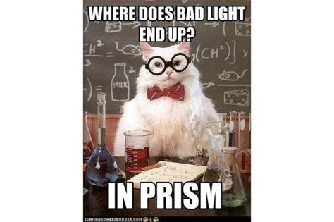 The Best of the Chemistry Cat Meme | Chemistry cat, Chemistry puns ...