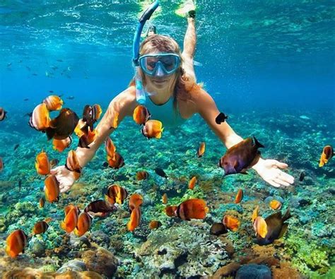 Top 7 reasons to snorkel the Galapagos Islands | Best snorkeling ...