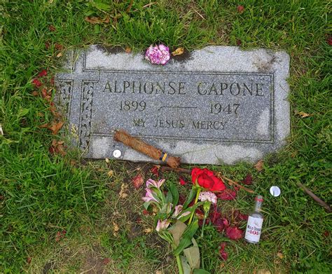 Flickriver: Most interesting photos tagged with alphonsecapone