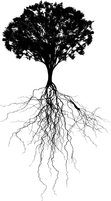 Clipart - Tree With Deep Roots Silhouette