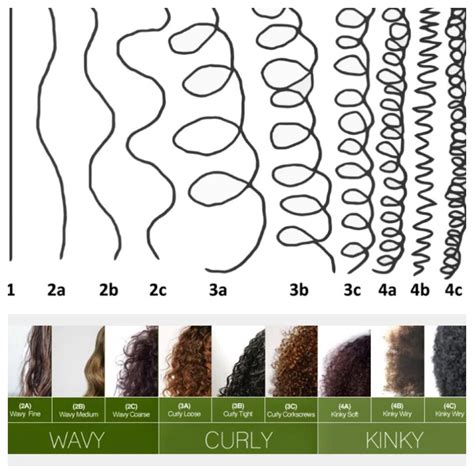 Whats your curl type? : curlyhair | Curly girl method, Wavy hair care, Curly girl