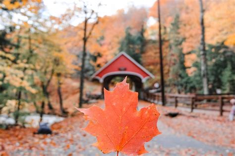 Fall In New Hampshire: 31 Best Foliage Spots & Things To Do (2024 ...