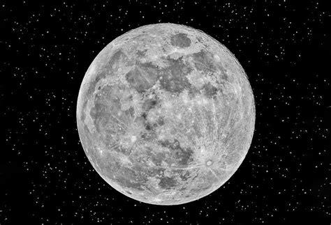 Halloween Backdrop Full Moon Night for Photography D887 – Dbackdrop