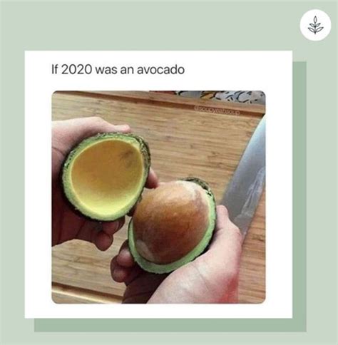 The Top Avocado Memes of All Time | Avocados From Mexico