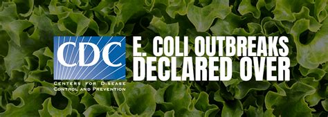 Center for Disease Control Declares Two E. coli Outbreaks Over | AndNowUKnow