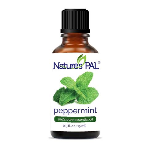 Peppermint Essential Oil (100% Pure) - Singapore Soap Supplies