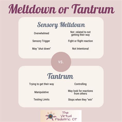 Meltdown Vs Tantrum - The Virtual Pediatric OT