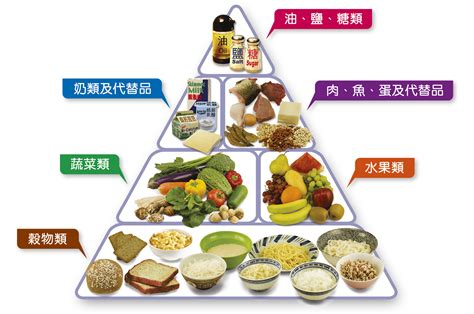 衞生防護中心 - 健康飲食金字塔 均衡營養好體格