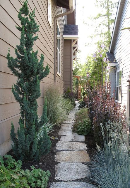 Narrow Trees for Tight Garden Spaces