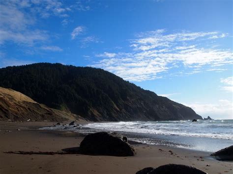 Humbug Mountain State Park | Mountain states, State parks, Oregon travel