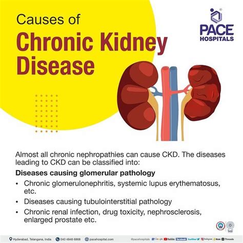 Chronic Kidney Disease Symptoms, Stages, Causes, Risk, 41% OFF