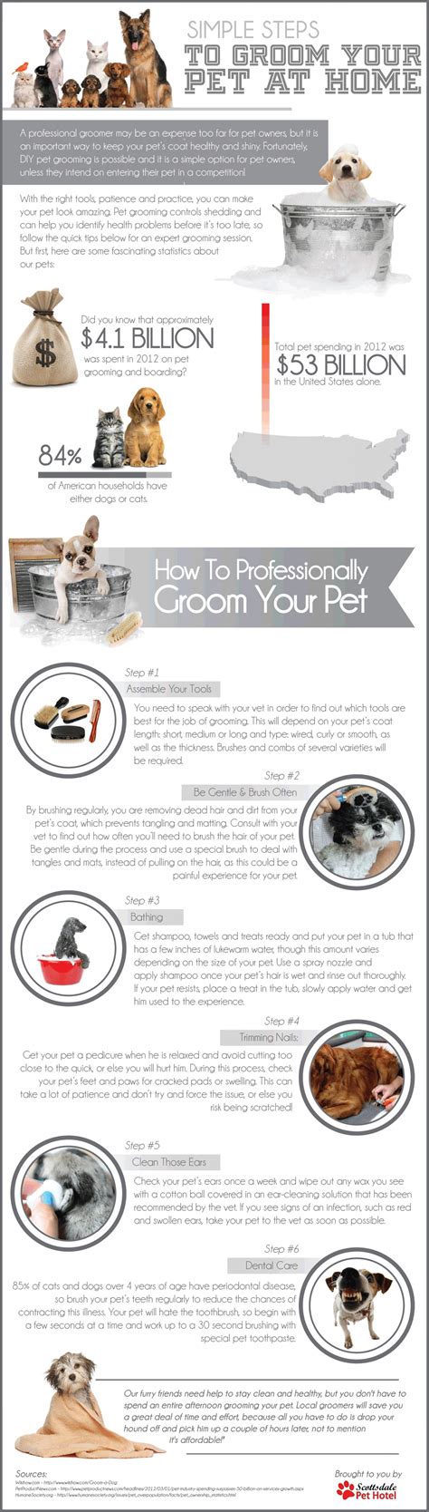 Simple Steps to Groom Your Pet at Home | Visual.ly | Dog grooming tips ...