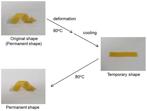 Polymers | Special Issue : Shape-Memory Polymers