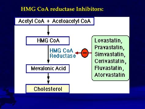 PPT - Hyperlipoproteinemia PowerPoint Presentation - ID:628585