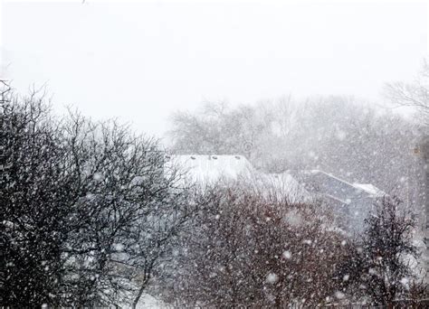 Snow Falling on Trees and House Stock Photo - Image of blizzard, roof: 169217054