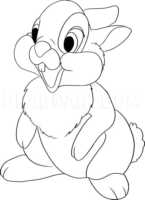 How To Draw Thumper From Bambi, Step by Step, Drawing Guide, by Dawn ...