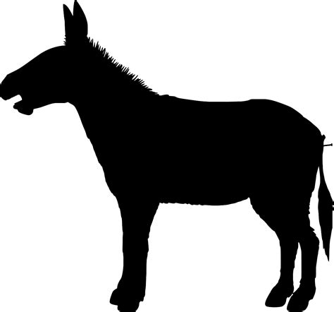 SVG > tail christ donkey nature - Free SVG Image & Icon. | SVG Silh