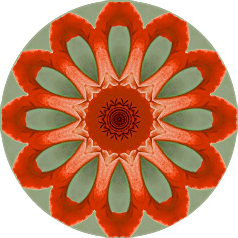 Download Rosette Mandala Art Royalty-Free Vector Graphic - Pixabay