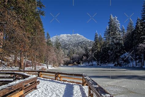 "Snow in Idyllwild" by CarolM | Redbubble