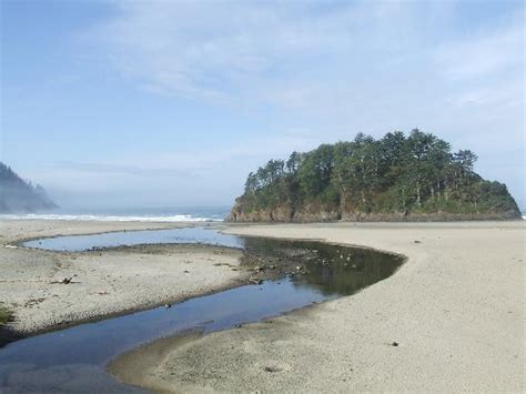 Neskowin Resort (OR) - Resort Reviews - TripAdvisor