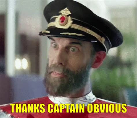 Thanks Captain Obvious Meme