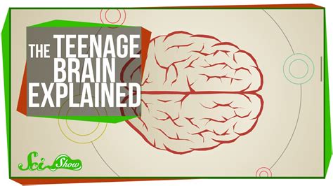 The Teenage Brain Explained - Kidpid