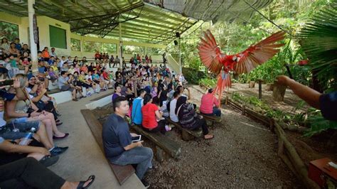 Private Lok Kawi Wildlife Park from Kota Kinabalu - Kota Kinabalu | Project Expedition