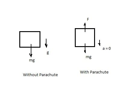 Explain the difference between an object or a person free-falling without a parachute and with a ...