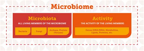 Understanding the microbiome - Probi