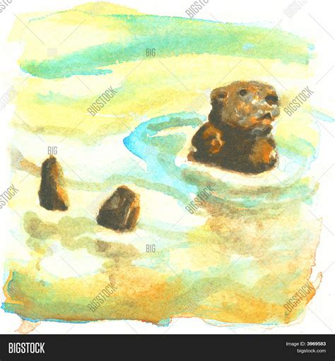 Sea Otter Watercolor Image & Photo (Free Trial) | Bigstock