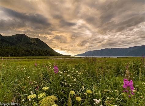 Hope Alaska | An Original Gold Rush Town | ALASKA.ORG