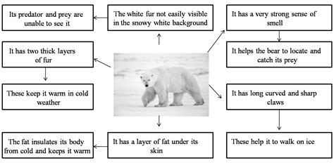 Weather, Climate And Adaptation of Animals to Climate - Practically Study Material