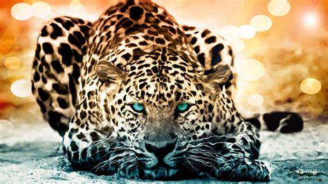 192 Jaguar HD Wallpapers | Backgrounds - Wallpaper Abyss