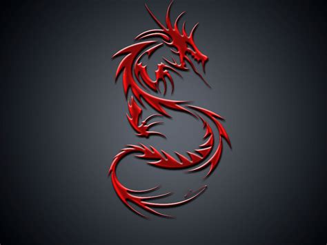 🔥 [50+] Dragon and Tiger Wallpapers | WallpaperSafari