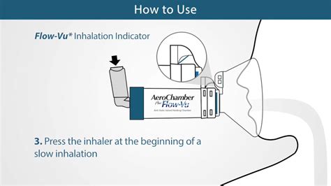 AeroChamber Plus* Flow-Vu* Valved Holding Chamber - Mask Instructions ...