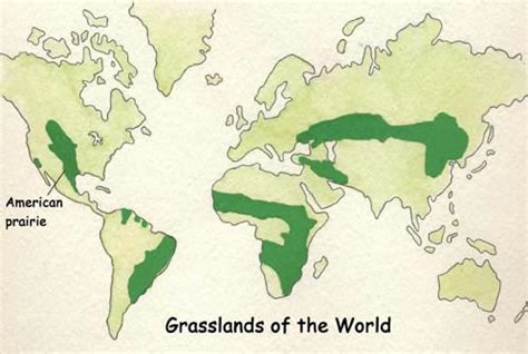 Prairies Of North America Map - Elvina Micheline