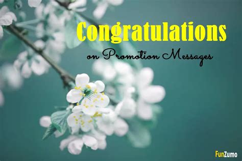 130 Congratulations on Promotion Messages All the Best – FunZumo