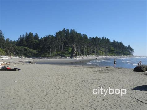 10 BEST Things to Do at Ruby Beach